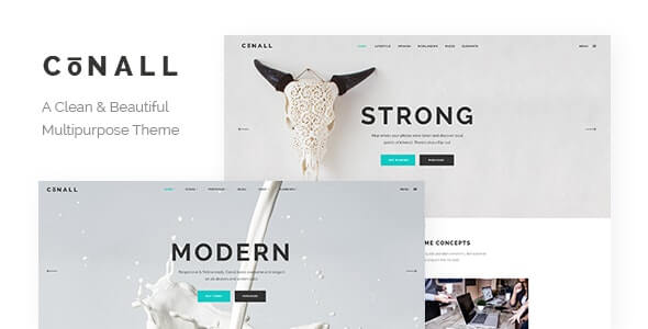 Conall | Clean Multipurpose Theme