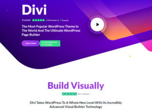 Divi The Ultimate WordPress Theme & Visual Page Builder Review